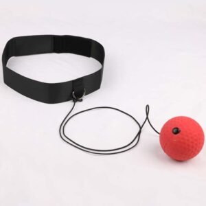 Boxing fight training ball