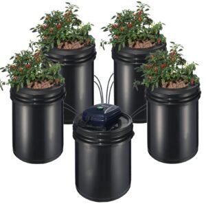 RDWC Hydroponics System Recirculating Buckets 5 Gal