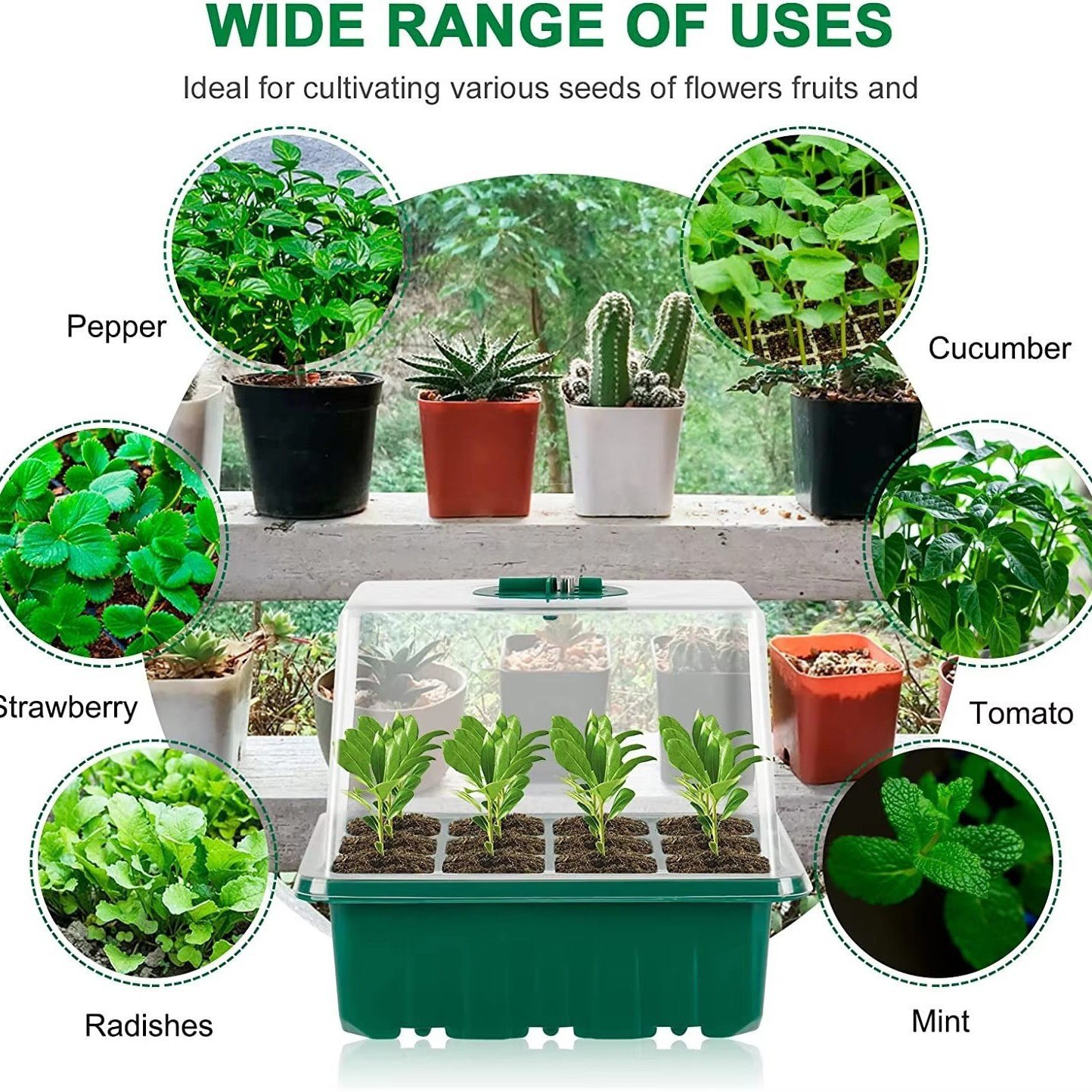 Pack Of 6 Plant Propagator Seed Tray Set With Full Spectrum USB Grow Lights UK - Image 9